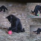 Fußballtalente in Aktion