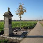 Fußfall mit Bank in der Herbstlandschaft ...