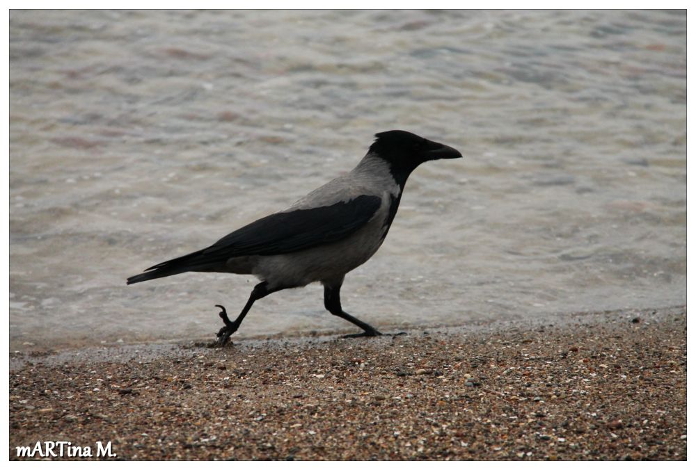 Fußgänger am Strand