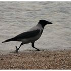 Fußgänger am Strand