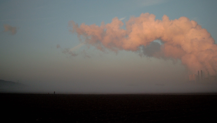 Fussgänger Hund Wolken