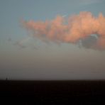 Fussgänger Hund Wolken