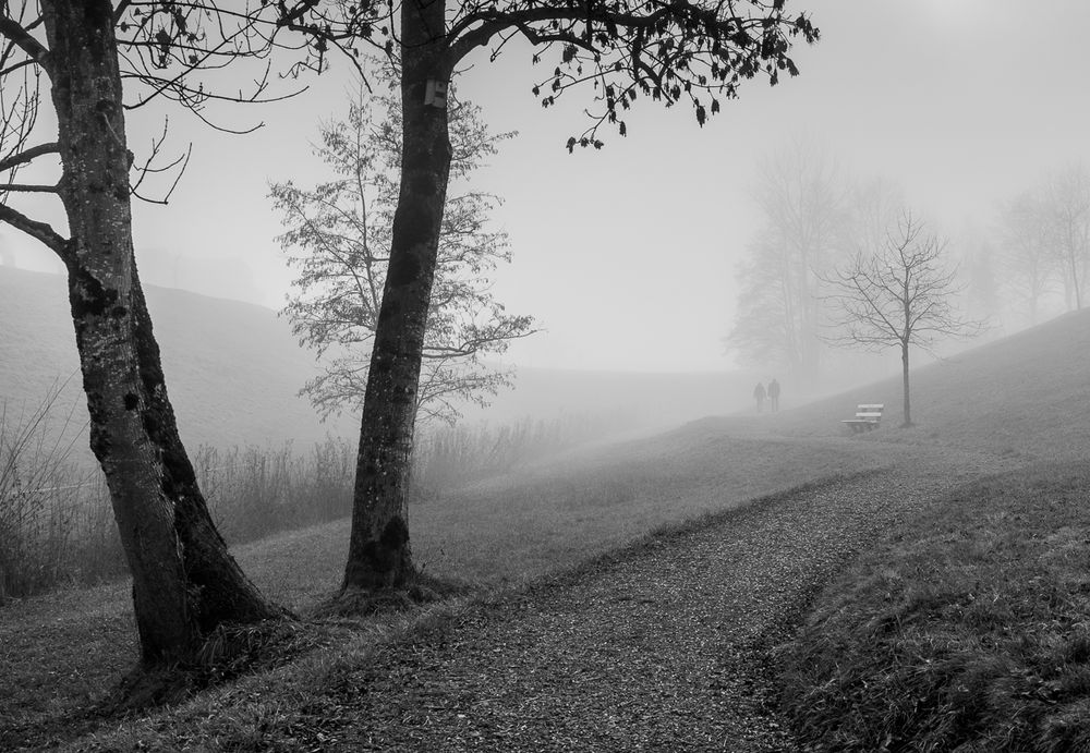 Fussgänger im Nebel