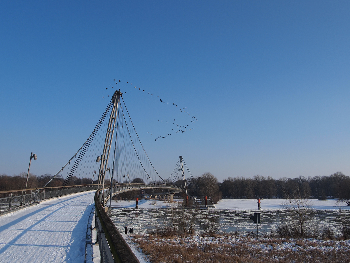 Fußgängerbrücke über die Elbe - Herrenkrug Magdeburg