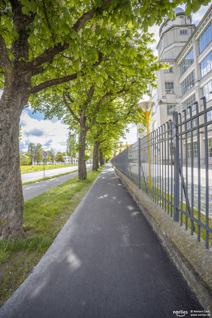 Fußgängerweg am Glaspalast