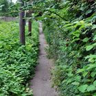 Fußgängerweg von Weidenpesch nach Longerich