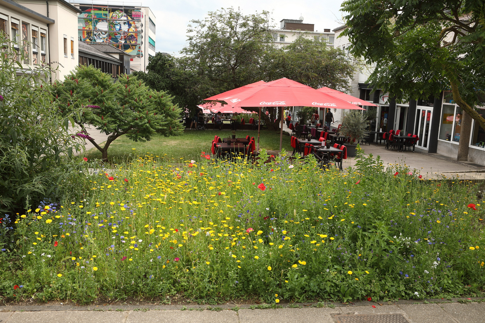 Fußgängerzone mit Insektenwiese