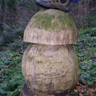 Fußpilz auf dem Weg zum Pfänder am Bodensee