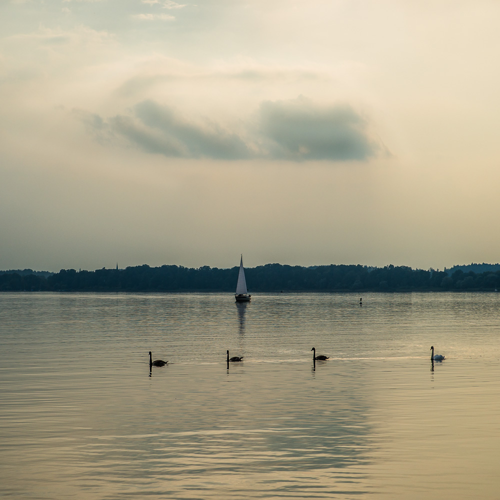 "Fußschwimmerüberweg" auf dem Chiemsee