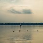 "Fußschwimmerüberweg" auf dem Chiemsee