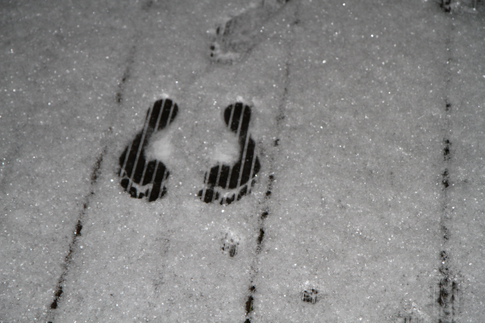 Fußspur im Schnee