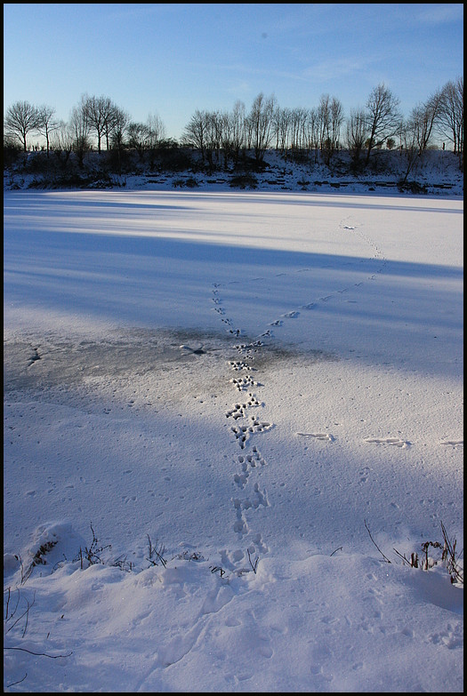 Fußspuren auf dem See