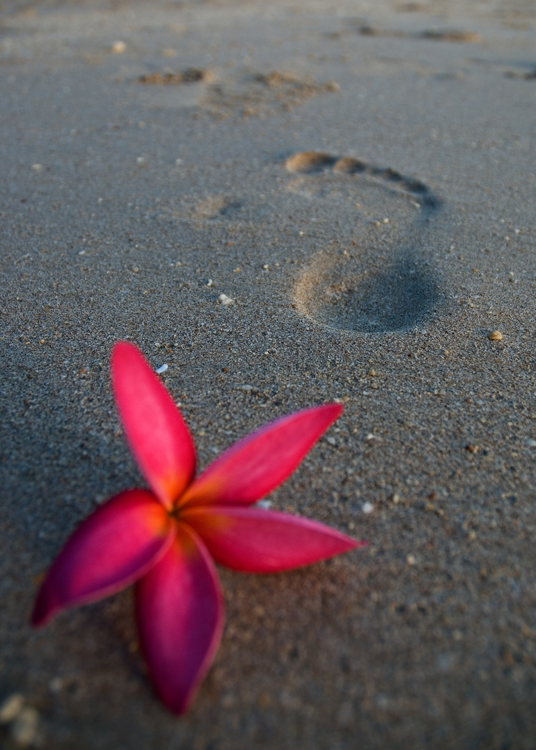 Fußspuren im Sand 2