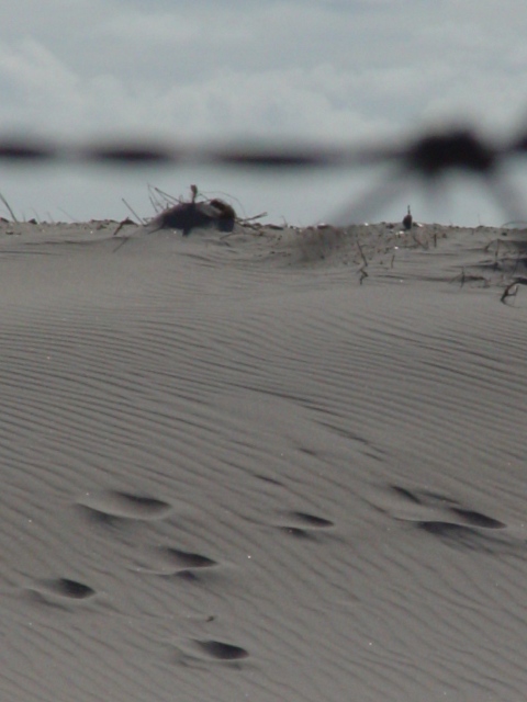 Fußspuren im Sand