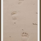 Fußspuren im Sand...