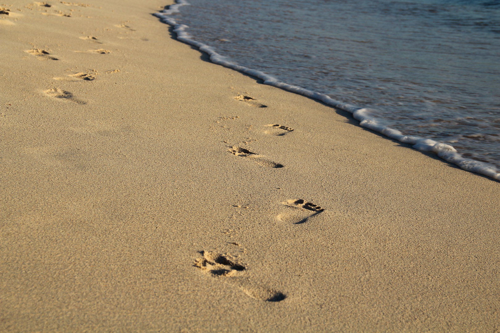 Fußspuren im Sand von Bayahibe