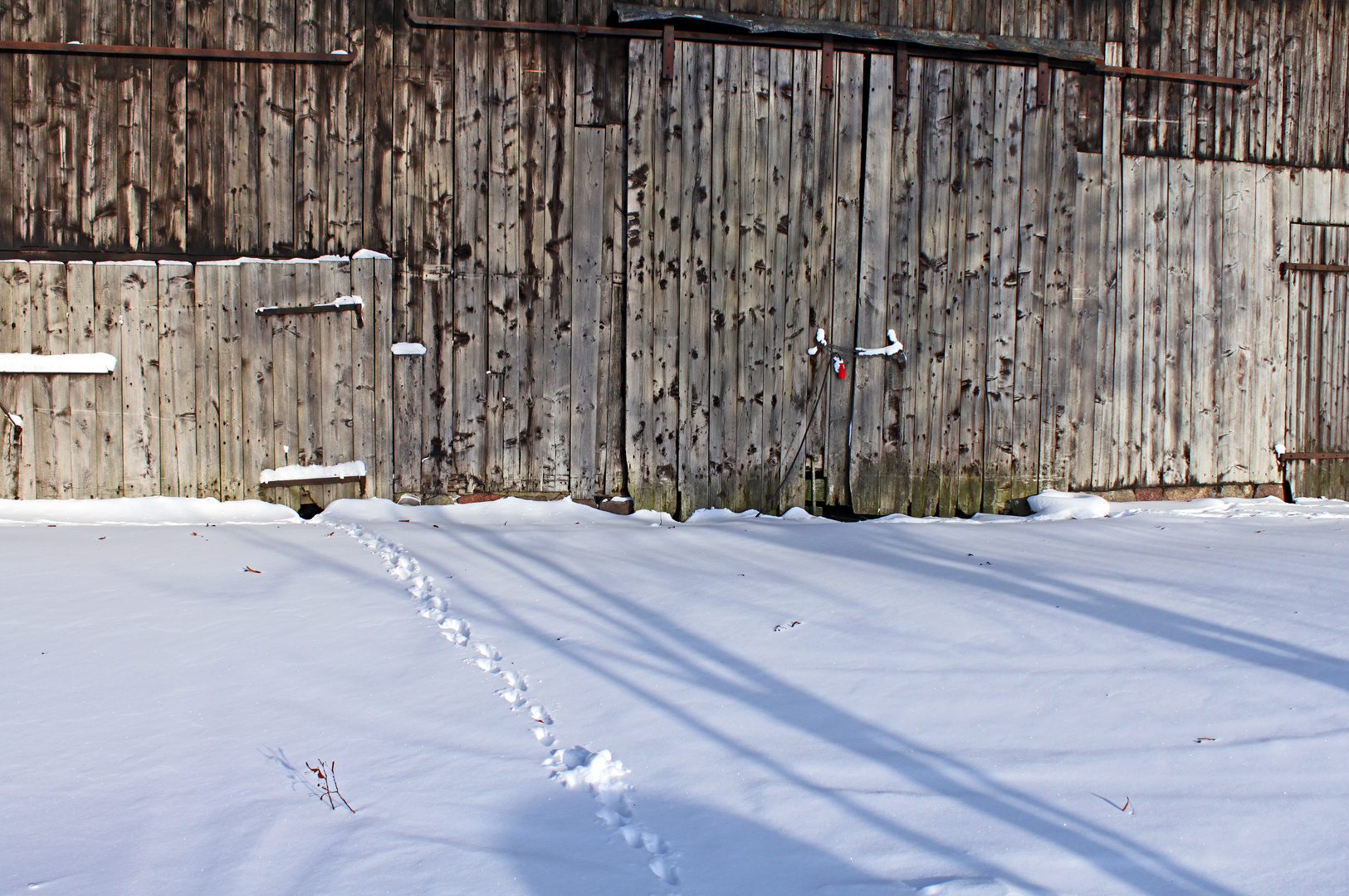 Fußspuren im Schnee