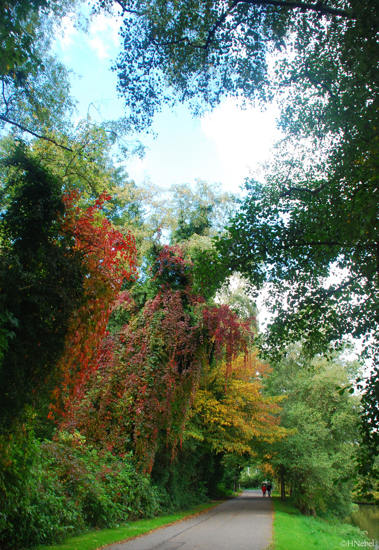 Fußweg am Baldeneysee