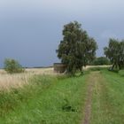 Fußweg bei Grüssow ( Usedom )