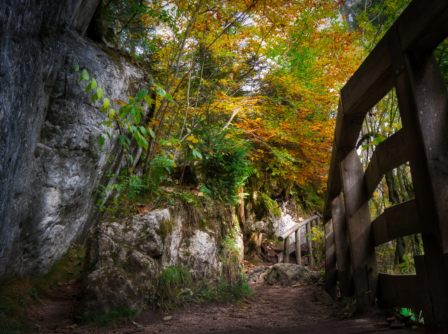 Fußweg durch den Zauberwald am Hintersee, Berchtesgadener Land / Bayern