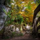 Fußweg durch den Zauberwald am Hintersee, Berchtesgadener Land / Bayern