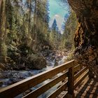 Fußweg durch den Zauberwald am Hintersee, Berchtesgadener Land / Bayern