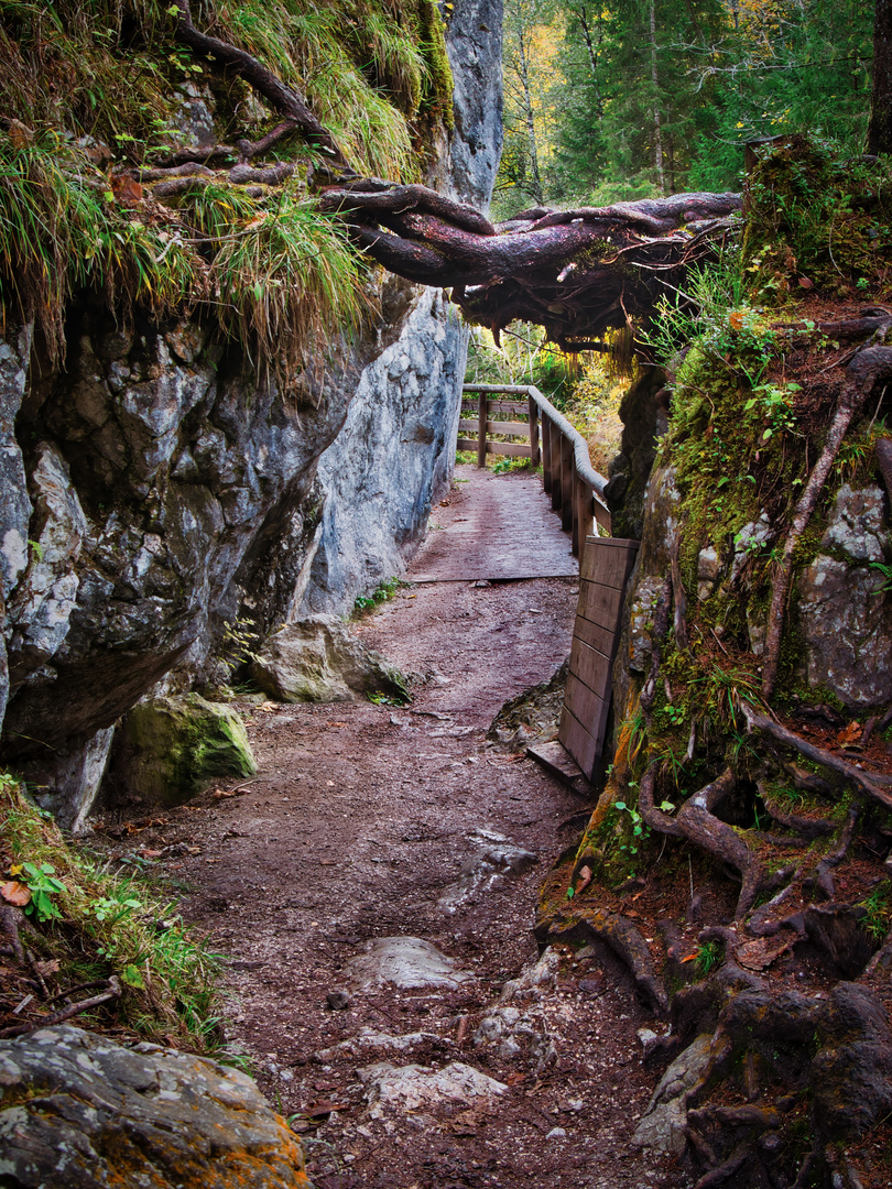 Fußweg durch den Zauberwald am Hintersee, Berchtesgadener Land / Bayern