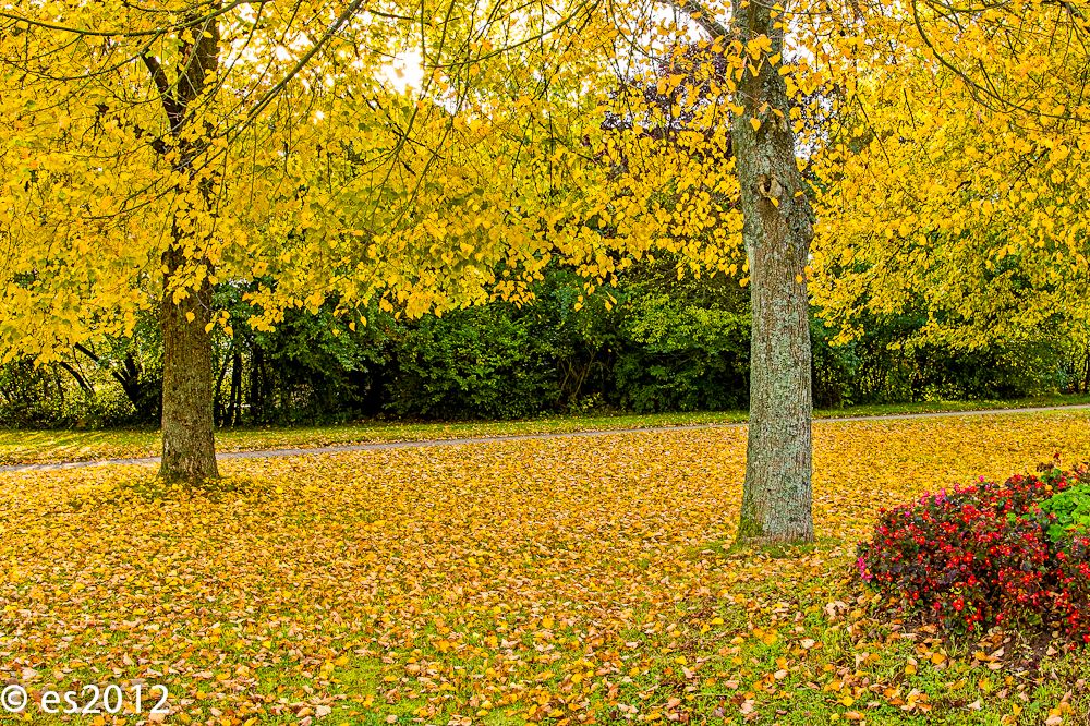 Fußweg im Herbst