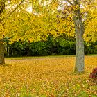 Fußweg im Herbst