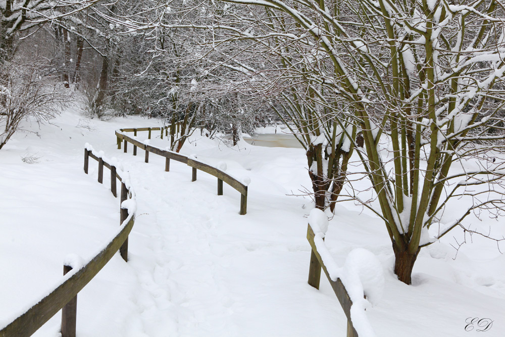 Fußweg im Winter