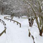 Fußweg im Winter