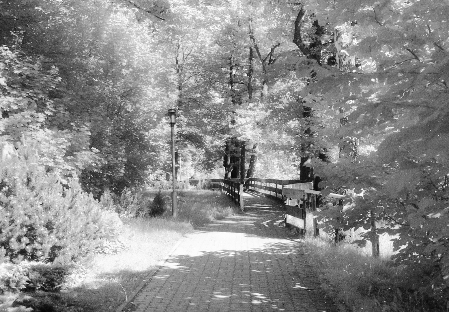 Fußweg in Olbernhau