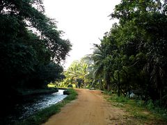 Fussweg zum Lake Giritale