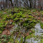 Fußweg zur Burg Eltz