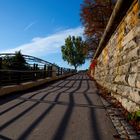 Fußweg zur Luitpoldbrücke im Herbst