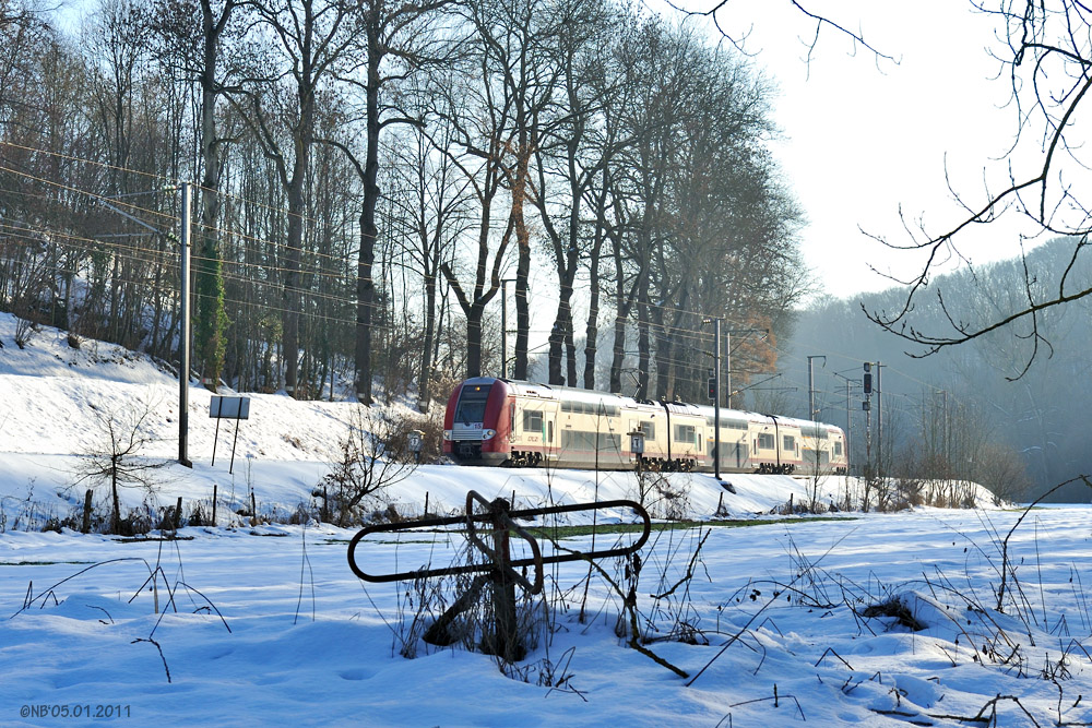 Fußwegbahnübergangsdrehkreuz in einer Wiese