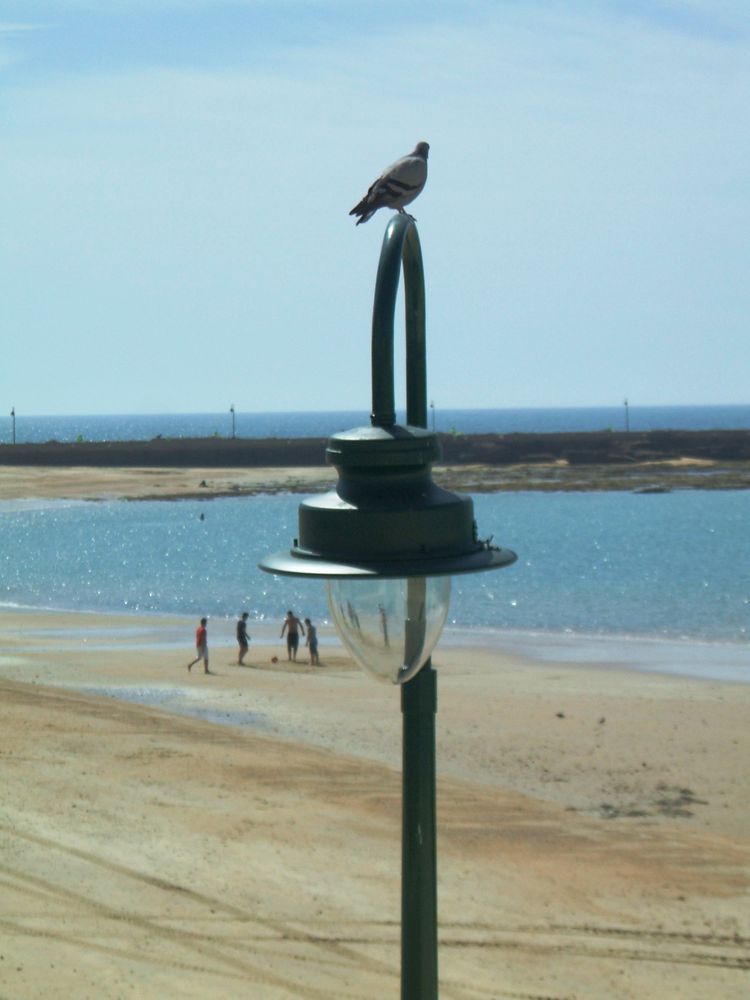 futbol-playa