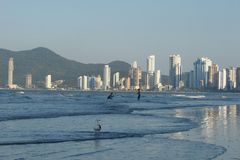 FUTBOL Y GAVIOTA EN CAMBORIU 2010 - BRASIL