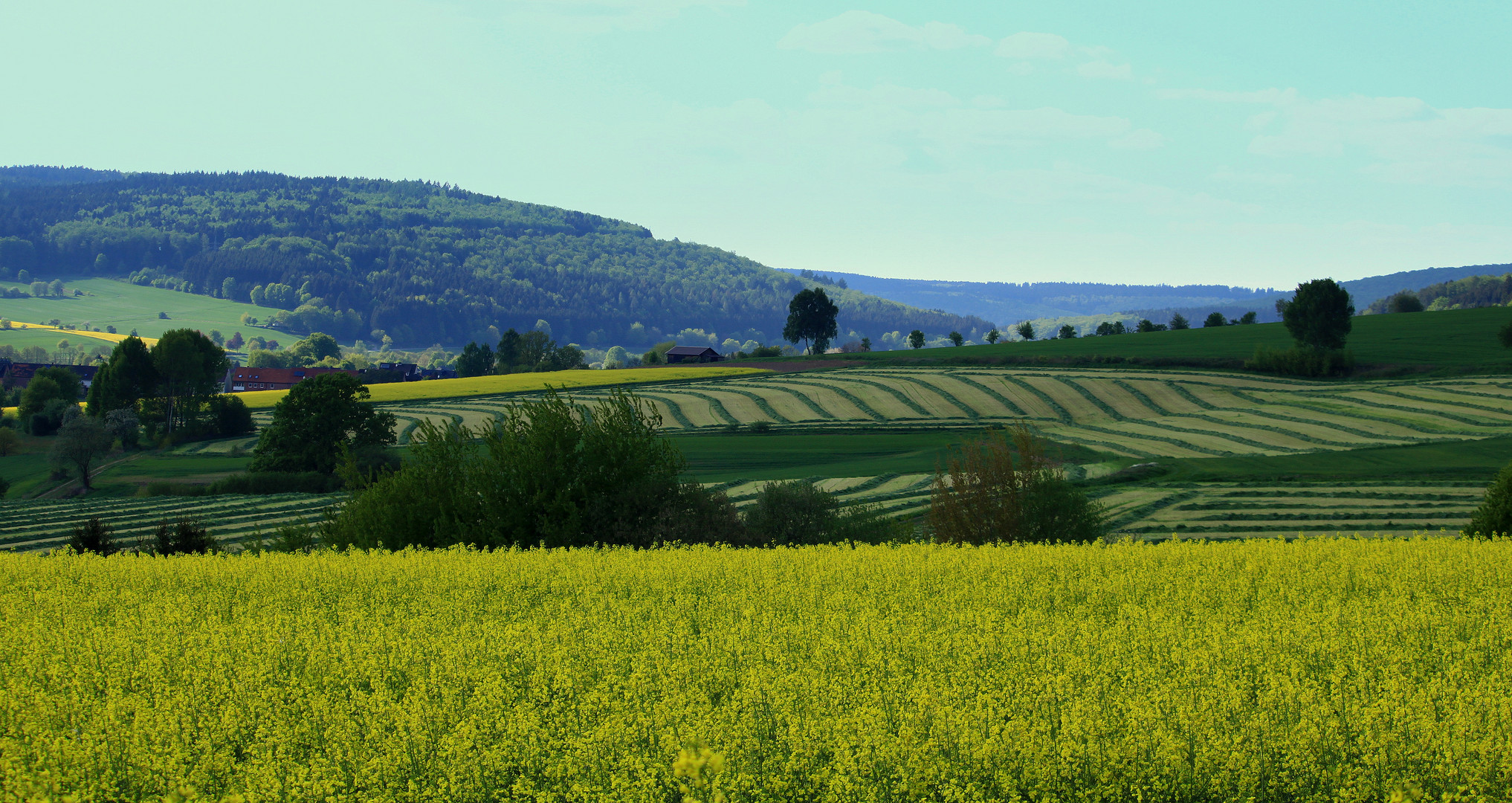 -Futter für eine Biogasanlage-