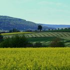 -Futter für eine Biogasanlage-