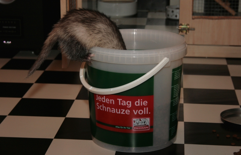 Futterbeschaffungsmaßnahme