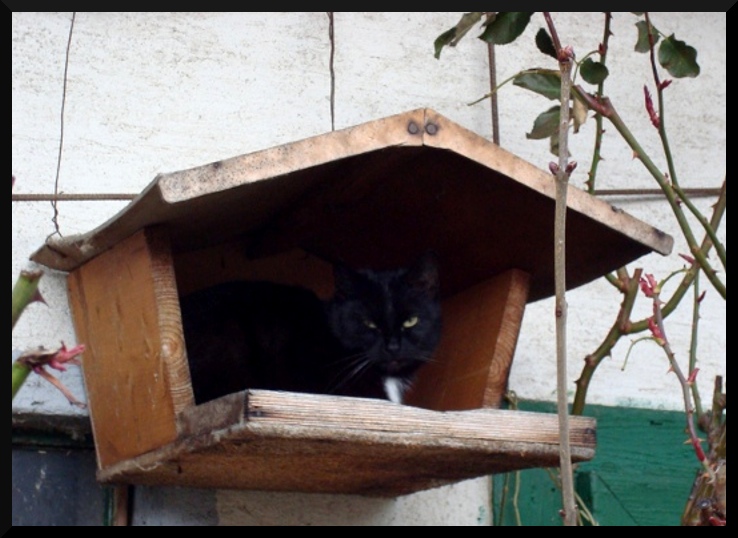 Futterhäuschen...