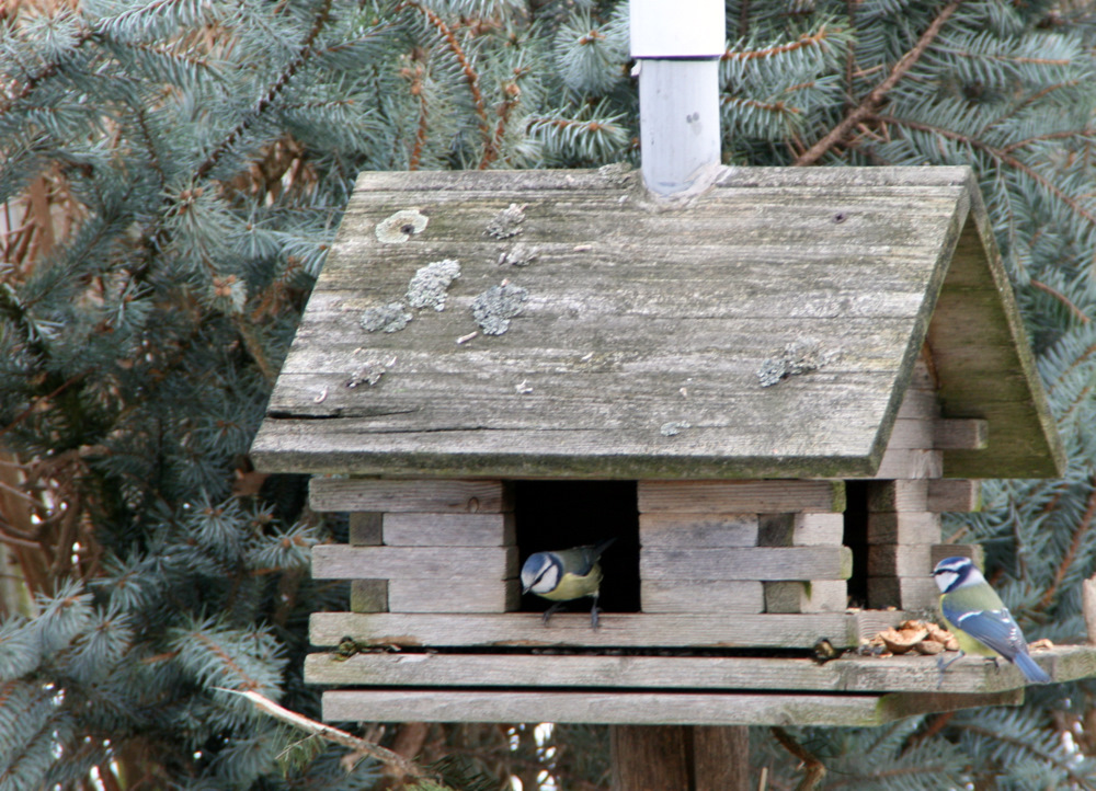 Futterhaus am Sonntag 1