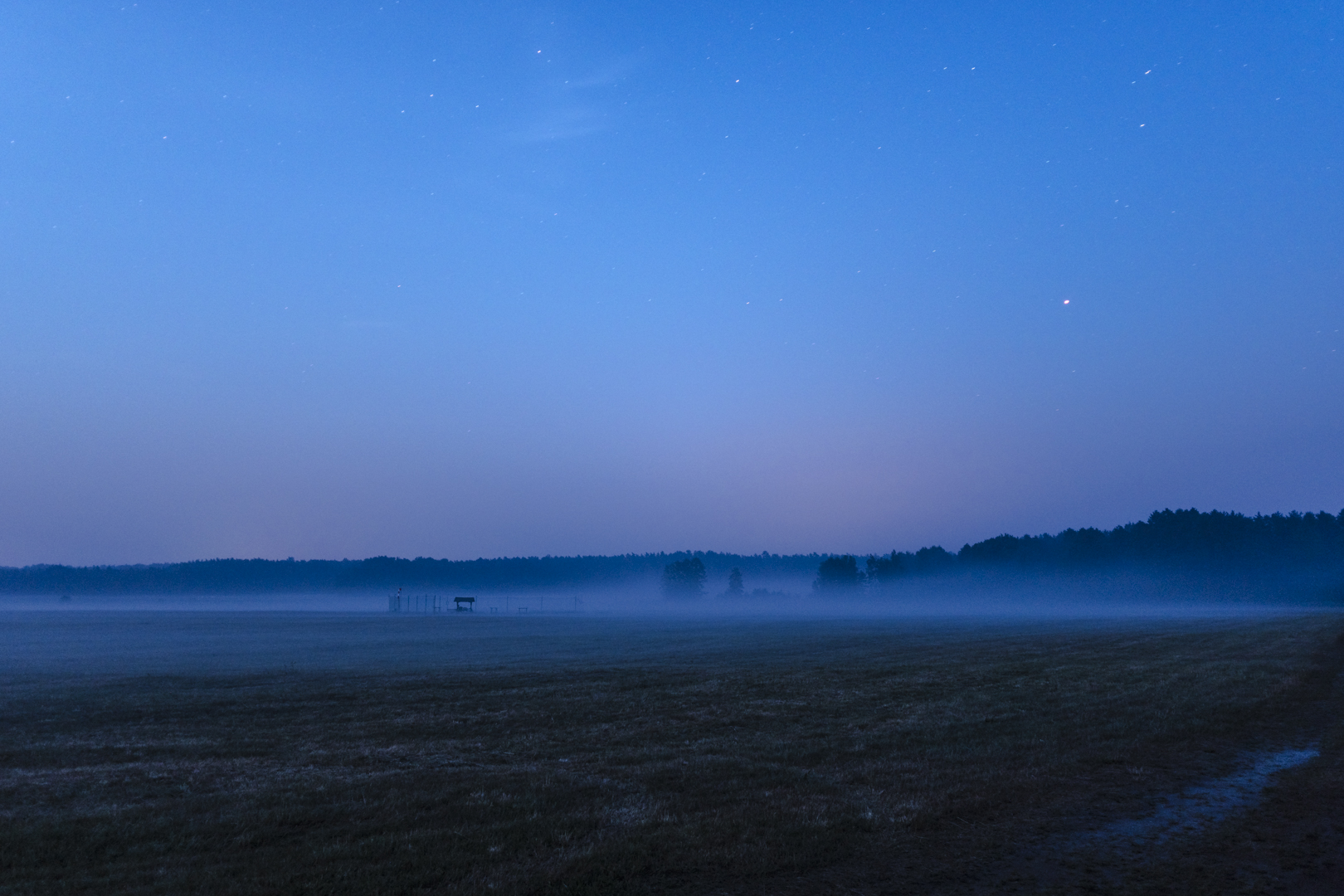 Futterkrippe im Nebel