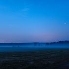 Futterkrippe im Nebel