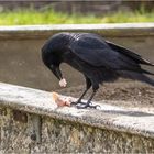 futtern auf dem Sandkasten retten  .....