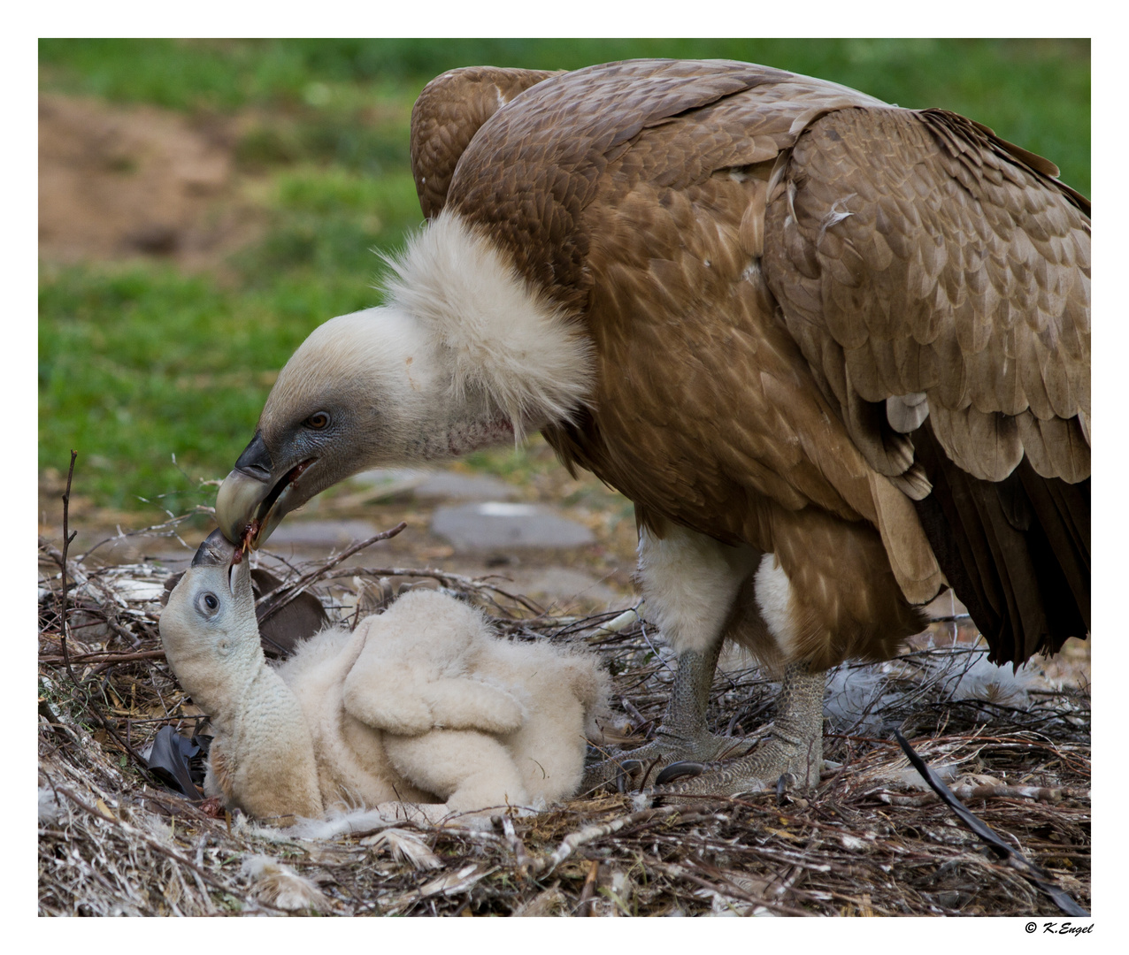 Futtern bei Muttern !