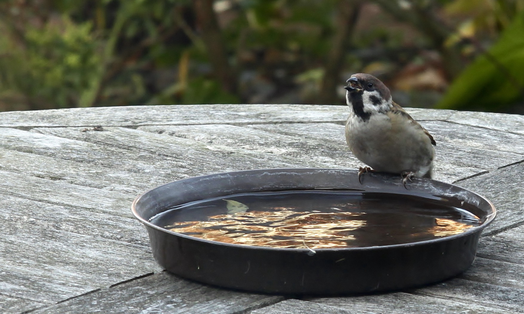 Futtern macht durstig...