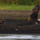 "Futterneid"-endlich einen Fisch gegriffen!