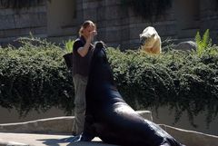 Futterneid - und ich bekomme nichts? fragt sich der Eisbär